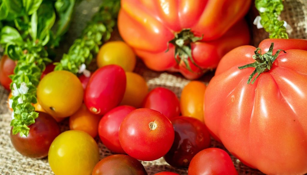 Tomaten | Verschiedene Tomaten, gelb und rot