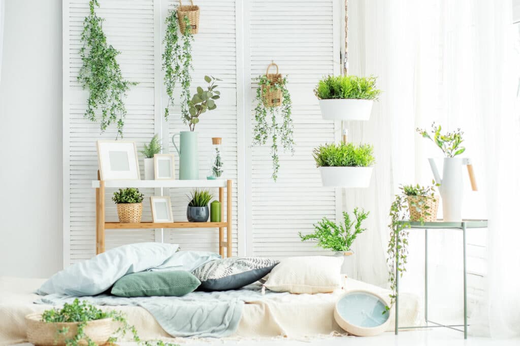 7 hängende Zimmerpflanzen, die besonders beliebt sind